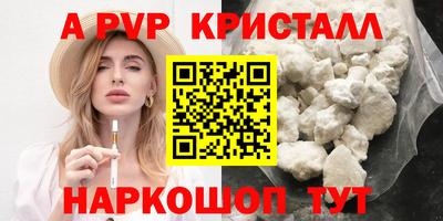 прущие грибы Усть-Джегута