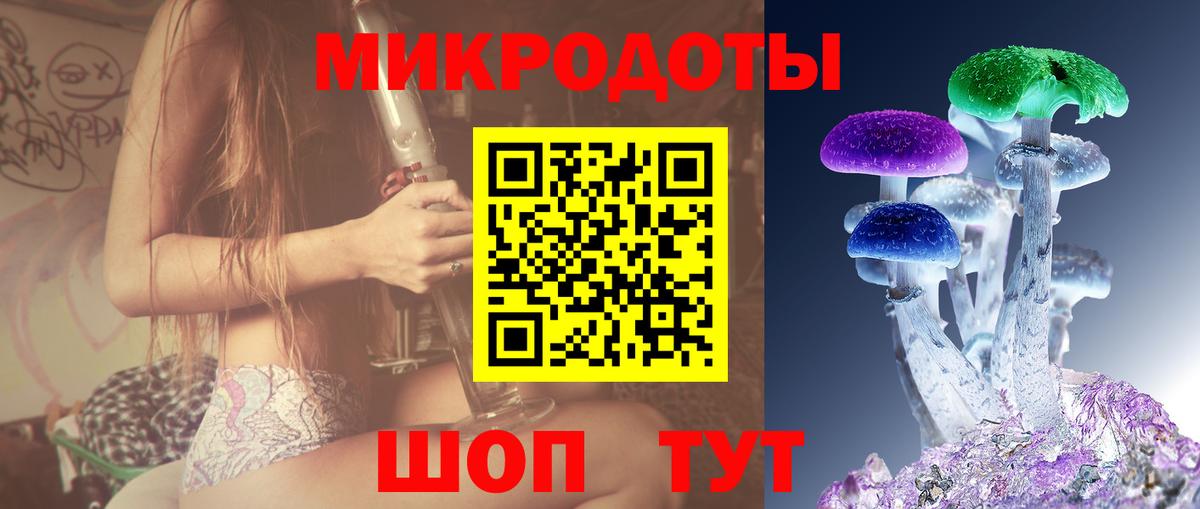 Наро-Фоминск  Псилоцибиновые грибы Psilocybe  Вход с VPN  Псилоцибиновые грибы MAGIC MUSHROOMS 